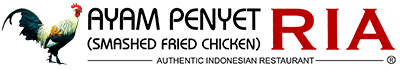 AYP Logo